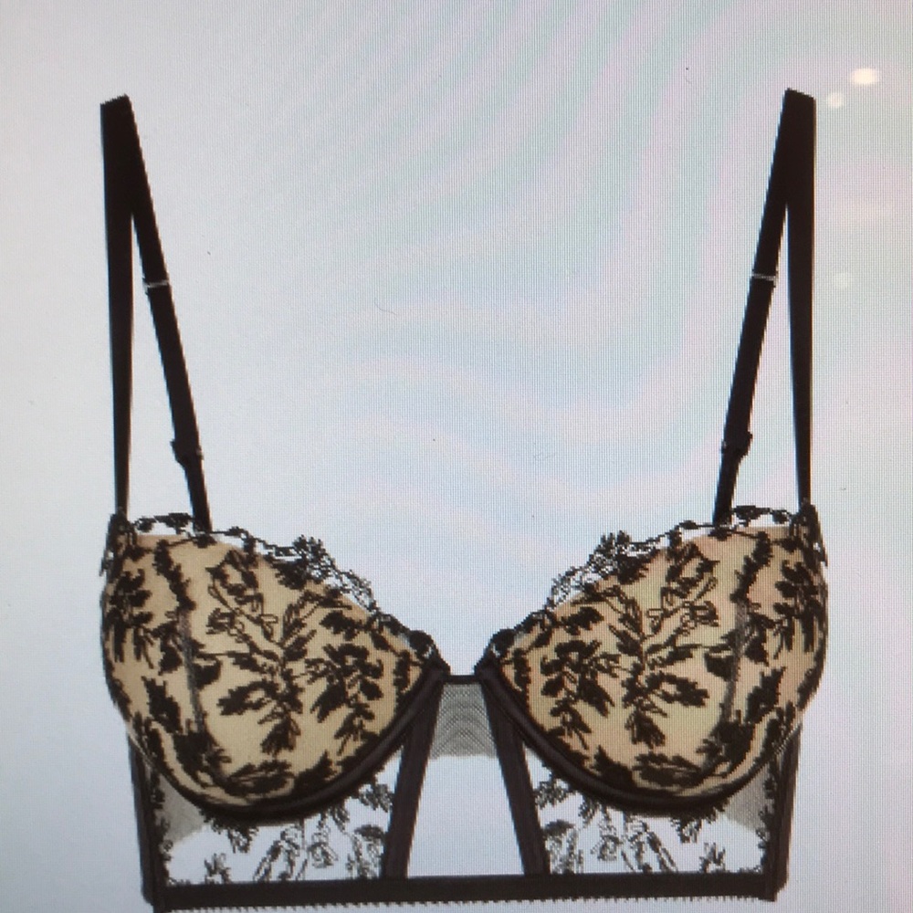 LaPerla Embroidered tulle barlet